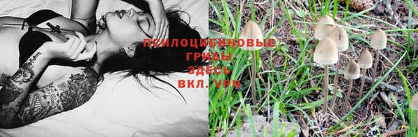 mdma Бородино