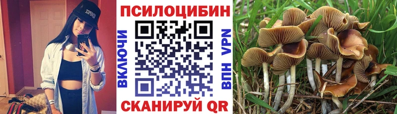 Псилоцибиновые грибы Cubensis  где купить наркотик  blacksprut ONION  Севастополь 